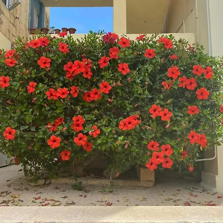 Beautiful Flat With Swimming-pool & Seaview Daire