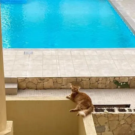 Beautiful Flat With Swimming-pool & Seaview Daire *