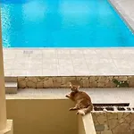 Beautiful Flat With Swimming-pool & Seaview Apartamento *