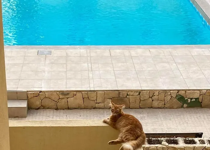 Beautiful Flat With Swimming-pool & Seaview *