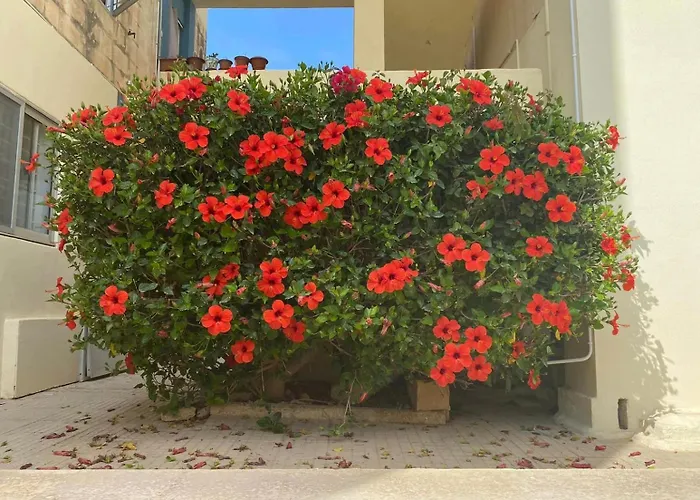 Beautiful Flat With Swimming-pool & Seaview Апартаменты