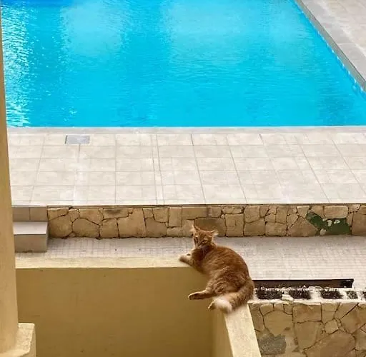 Beautiful Flat With Swimming-pool & Seaview Апартаменты *